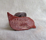 Native Zuni Antler Mini Jumping Frog Fetish Carving by Ruben Najera C4282