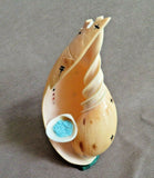 Zuni Museum Quality Melon Shell Tableta Maiden Fetish by Stuart Quandelacy C3734