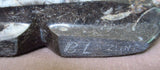 Zuni Gorgeous Large Fossilized Stone Bear Fetish by Bernard Laiwekete C1649