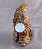 Zuni Museum Quality Fossilized  Stone/Shell Wizard by Derrick Kaamase C3996