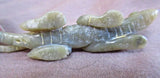 Native Museum Quality Zuni Serpentine Lizard Fetish by Lance Cheama - C1621