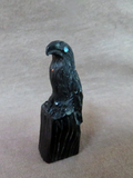 Native American Zuni Jet Raven on Rock Fetish Carving by Rochelle Quam  C4217