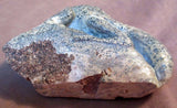 Zuni Amazing LARGE Serpentine Lizard on Rock by Derrick Kaamasee C0328
