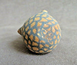 Native American Zuni hand made Mini Owl Pottery by Erma Kalestewa Homer  P0245
