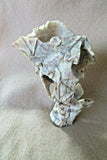 Native Zuni X Large Antler 6 Bats in Flight Fetish carving by Lewis Malie  C1208