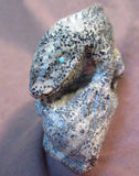 Zuni Amazing LARGE Serpentine Lizard on Rock by Derrick Kaamasee C0328