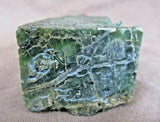 Zuni Museum Quality Serpentine Iguana on Rock Fetish by Carver Colin Weeka C2773