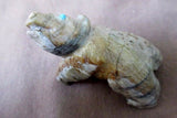 Zuni Picasso Marble Bear by Derrick Kaamasee C0354
