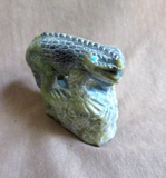 Native Zuni Serpentine Lizard on Rock Fetish Carving by Derrick Kaamasee C4422