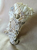 Native Zuni X Large Antler 6 Bats in Flight Fetish carving by Lewis Malie  C1208