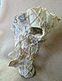 Native Zuni X Large Antler 6 Bats in Flight Fetish carving by Lewis Malie  C1208
