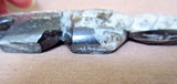 Zuni Gorgeous Large Fossilized Stone Mt. Lion Fetish by Bernard Laiwekete C2479