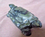 Native Zuni INCREDIBLE Serpentine Large Turtle by Carver Herbert Him Sr. C1924