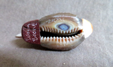 Native Zuni Multi-stone & Shell Duck w/ Sunface Fetish by Darrin Boone  C4356