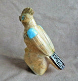 Native Zuni Zuni Rock Chicken Hawk Carving fetish by Freddie Leekya C3586