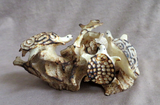 Native Zuni Large Antler Sea Turtle Family of 4 Carving by Ruben Najera C4500