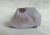 Native Zuni Turquose Olla Maiden with Offering Fetish By Carl Etsate C3776