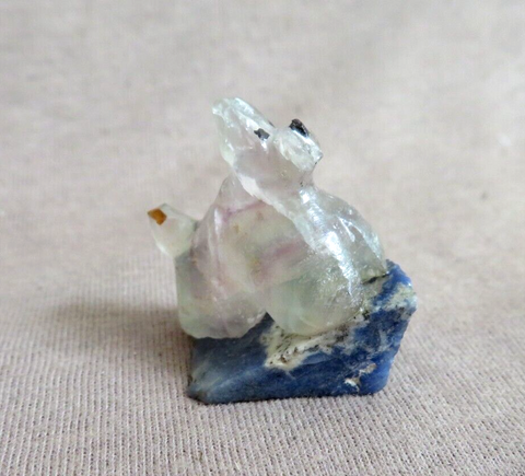 Native Zuni Fluorite Micro Mini Poodle Dog Fetish Carving by Ruben Najera C4510