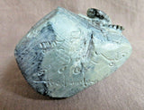 Native Zuni Serpentine Realistic Frog Fetish Carving by Michael Coble C3838