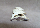 Amazing Native Zuni Antler Eagle Duo Fetish Carving by Ruben Najera C4291