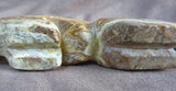 Navajo made Zuni Like Fossilized Stone Mt. Lion Fetish by Stewart  Alonzo  C2785