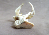 Amazing Native Zuni Antler Eagle Duo Fetish Carving by Ruben Najera C4314
