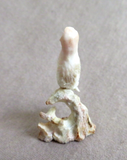 Amazing Native Zuni Antler Mini Owl Fetish Carving by Ruben Najera C4465