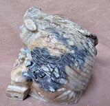 Zuni Majestic HUGE Picasso Marble Owl w/ Owlettes by Derrick Kaamasee C1180