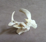 Amazing Native Zuni Antler Eagle Duo Fetish Carving by Ruben Najera C4314