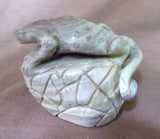 Zuni Amazing Picasso Marble Lizard on a Rock Fetish by Wilfred Cheama C01079