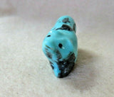 Native Zuni #8  Turquoise Mini Bear Fetish Carving by Bryson Bobelu C3943