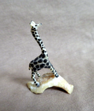 Native Zuni Antler Adorable Mini Giraffe Fetish Carving by Ruben Najera C4620