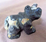 Native Zuni Amazing Egyptian Marble Bear by Carver Herbert Him Jr. C1412