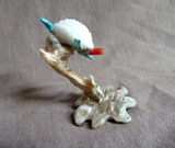 Native Zuni Shell Sea Turtle on Antler Base Fetish Carving by Ruben Najera C4168