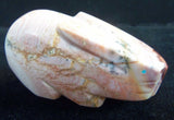 Zuni Gorgeous Dolomite Rabbit Fetish by Clayton and Abby Panteah C0049