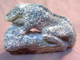 Zuni Amazing LARGE Serpentine Lizard on Rock by Derrick Kaamasee C0328