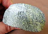 Native Zuni Museum Quality Serpentine Buffalo Fetish by Herbert Him Sr.C2828