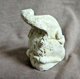 Native Zuni Fossilized Stone Lizard Fetish Carving by Scott Garnaat C3810