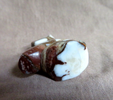 Zuni Wild Horse Turquoise Mini Bear Fetish by Leland Boone & Daphne Quam C4158