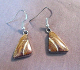 Zuni Agate & Sterling Silver Dangles Hook Earrings by RC JE0012