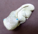 Native Zuni Large Yellow Serpentine  Bearded Lizard Fetish C1358