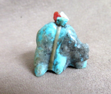 Native Zuni Mini #8 Turquoise Bear w Bundle Fetish Carving by Daryl Shack C4610